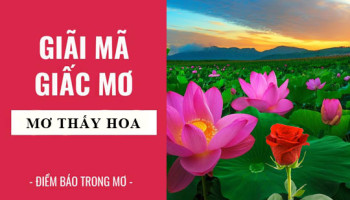 Giai-ma-giac-mo-Nam-mo-thay-hoa-hoa-sen-hoa-hong-diem-bao-gi-lanh-hay-du-con-so-lien-quan-5054