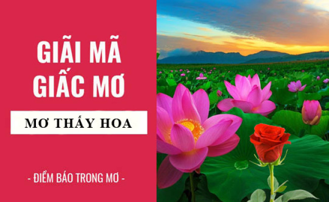 Giải mã giấc mơ: Nằm mơ thấy hoa, hoa sen, hoa hồng điềm báo gì, lành hay dữ? con số liên quan