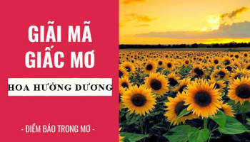 Giai-ma-giac-mo-Nam-mo-thay-hoa-huong-duong-diem-bao-gi-lanh-hay-du-con-so-lien-quan-6129