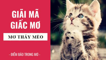 Giai-ma-giac-mo-Nam-mo-thay-meo-diem-bao-gi-lanh-hay-du-con-so-lien-quan-4971