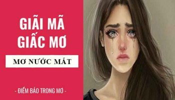Giai-ma-giac-mo-Nam-mo-thay-nuoc-mat-nguoi-khoc-diem-bao-gi-lanh-hay-du-con-so-lien-quan-7420