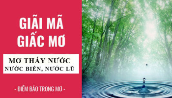 Giai-ma-giac-mo-Nam-mo-thay-nuoc-nuoc-bien-nuoc-lu-diem-bao-gi-lanh-hay-du-con-so-lien-quan-5365