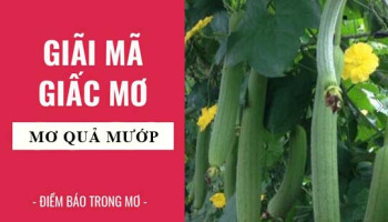 Giai-ma-giac-mo-Nam-mo-thay-qua-muop-diem-bao-gi-lanh-hay-du-con-so-lien-quan-7505