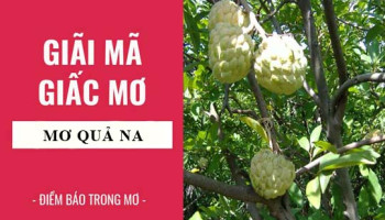 Giai-ma-giac-mo-Nam-mo-thay-qua-na-diem-bao-gi-lanh-hay-du-con-so-lien-quan-7501