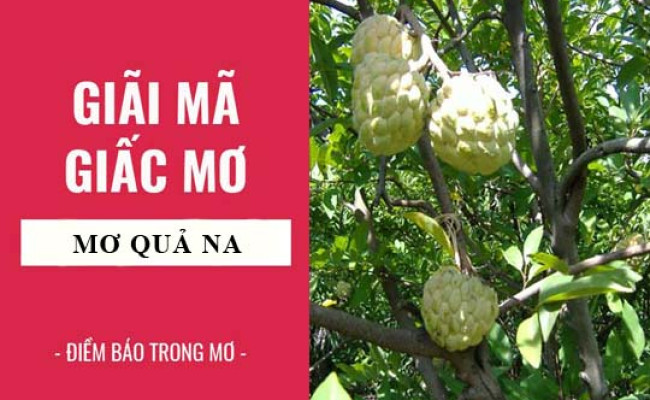 Giải mã giấc mơ: Nằm mơ thấy quả na điềm báo gì, lành hay dữ? con số liên quan