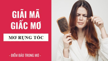 Giai-ma-giac-mo-Nam-mo-thay-rung-toc-diem-bao-gi-lanh-hay-du-con-so-lien-quan-6742