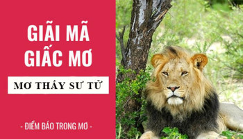 Giai-ma-giac-mo-Nam-mo-thay-su-tu-diem-bao-gi-lanh-hay-du-con-so-lien-quan-5077