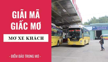 Giai-ma-giac-mo-Nam-mo-thay-xe-khach-nha-xe-diem-bao-gi-lanh-hay-du-con-so-lien-quan-7415