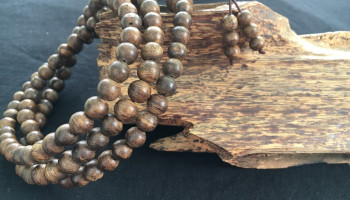 cach-phan-biet-tram-huong-284-199058