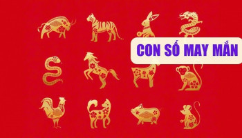 con-so-may-man-ngay-hom-nay-01052025-cua-12-con-giap