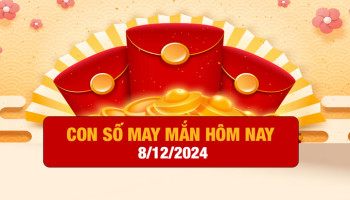 con-so-may-man-ngay-hom-nay-08122024-cua-12-con-giap