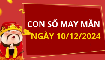 con-so-may-man-ngay-hom-nay-10122024-cua-12-con-giap