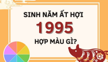 mau-sac-theo-pong-thuy-nam-menh-sinh-ngay-14-06-1995