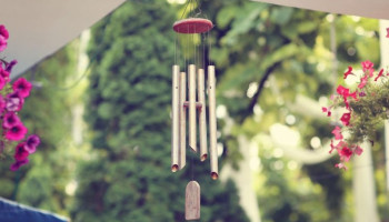 meo-phong-thuy-hut-tai-loc-284-191978