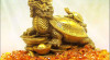 phong-thuy-vuong-tai-cuoi-nam-dung-thiem-thu-dung-cach-thuc-tai-cuc-nhanh-284-190041