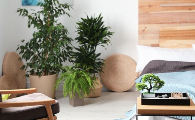 Sai lầm trong phong thủy mùa Xuân nhà giàu luôn tránh để luôn được THẦN TÀI nâng đỡ, che chở