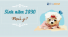 sinh-nam-2030-menh-gi