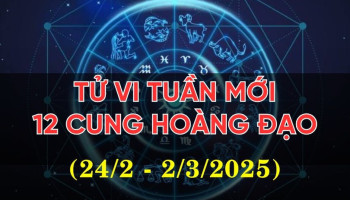 tu-vi-12-cung-hoang-dao-chu-nhat-232024-song-ngu-su-nghiep-thuan-loi-306010