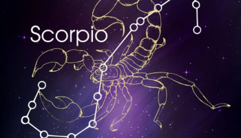 tu-vi-12-cung-hoang-dao-chu-nhat-452025-bo-cap-nen-nam-bat-co-hoi-313058