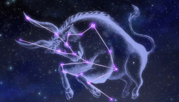 tu-vi-12-cung-hoang-dao-thu-hai-ngay-552025-kim-nguu-co-co-hoi-su-nghiep-313161