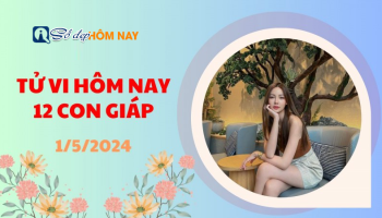 tu-vi-hom-nay-thu-4-ngay-152024-cua-12-con-giap