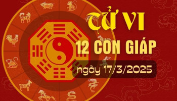 tu-vi-hom-nay-xem-tu-vi-12-con-giap-hom-nay-ngay-1732025-tuoi-ty-cham-chi-lam-viec-thien-307691
