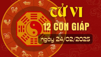 tu-vi-hom-nay-xem-tu-vi-12-con-giap-hom-nay-ngay-2422025-tuoi-dau-thu-nhap-on-dinh-305273