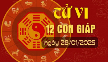 tu-vi-hom-nay-xem-tu-vi-12-con-giap-hom-nay-ngay-2812025-tuoi-ty-tai-loc-nhieu-may-man-302380
