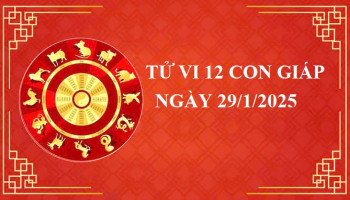tu-vi-hom-nay-xem-tu-vi-12-con-giap-hom-nay-ngay-2912025-tuoi-hoi-dau-tu-can-than-302459
