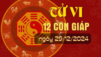 tu-vi-hom-nay-xem-tu-vi-12-con-giap-hom-nay-ngay-29122024-tuoi-dan-tai-loc-vuong-phat-298853