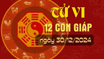 tu-vi-hom-nay-xem-tu-vi-12-con-giap-hom-nay-ngay-30122024-tuoi-tuat-cong-viec-tang-tien-298984