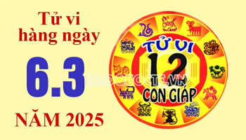 tu-vi-hom-nay-xem-tu-vi-12-con-giap-hom-nay-ngay-632025-tuoi-ngo-dau-tu-dung-cach-306351