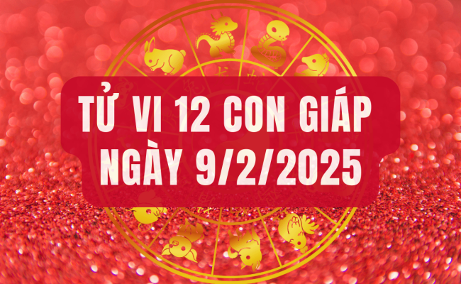 Tử vi hôm nay, xem tử vi 12 con giáp hôm nay ngày 9/2/2025: Tuổi Ngọ xoay chuyển tài chính