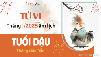 tu-vi-thang-1-2025-tuoi-dau-am-lich-304-227649