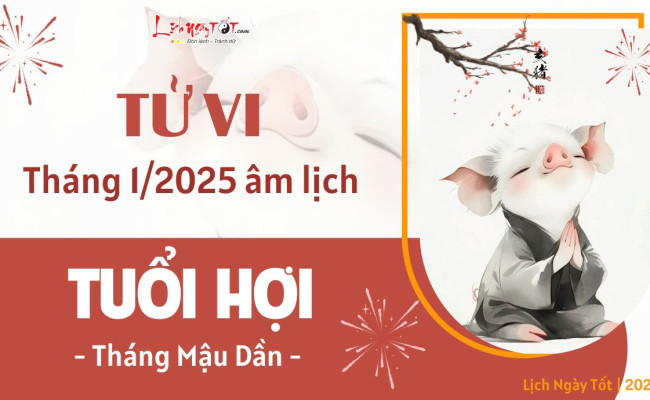 Tử vi tháng 1/2025 tuổi Hợi âm lịch: Buồn vui xen lẫn nhưng hãy vững tin vào tương lai