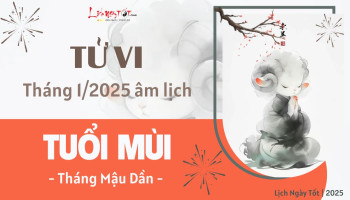 tu-vi-thang-1-2025-tuoi-mui-am-lich-304-227632