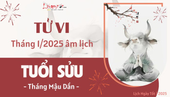 tu-vi-thang-1-2025-tuoi-suu-am-lich-304-227574