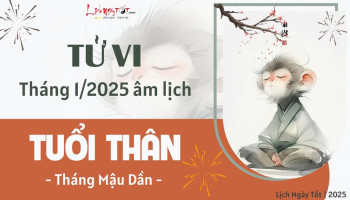 tu-vi-thang-1-2025-tuoi-than-am-lich-304-227647