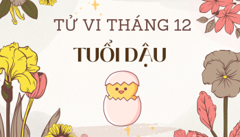 tu-vi-thang-12-2024-tuoi-dau-am-lich-304-227386