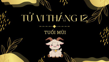 tu-vi-thang-12-2024-tuoi-mui-am-lich-304-227340