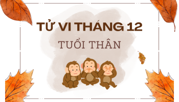 tu-vi-thang-12-2024-tuoi-than-am-lich-304-227341