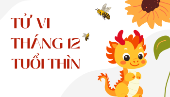 tu-vi-thang-12-2024-tuoi-thin-am-lich-304-227200