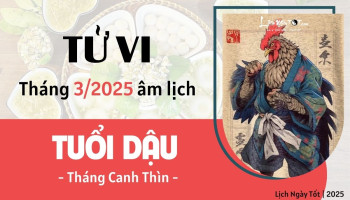 tu-vi-thang-3-2025-tuoi-dau-am-lich-304-228492