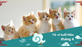 tu-vi-thang-4-2025-tuoi-mao-am-lich-304-228723