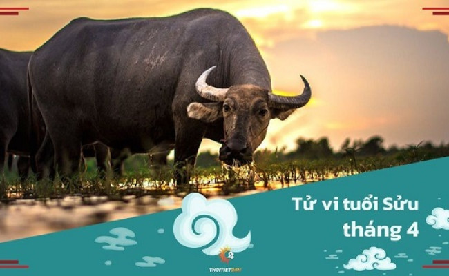 Tử vi tháng 4/2025 tuổi Sửu âm lịch: Nỗ lực trong âm thầm cuối cùng cũng được hái quả ngọt
