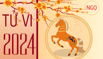 tu-vi-thang-6-2024-tuoi-ngo-am-lich-304-224962