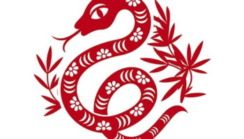 xem-tu-vi-tron-doi-cua-nguoi-tuoi-ti